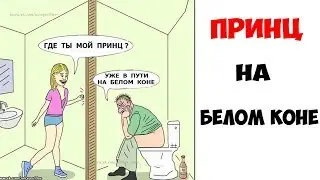 Лютые приколы . ПРИНЦ НА БЕЛОМ КОНЕ .Угарные мемы