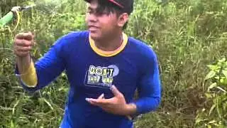mazz yudaa top artis ladang