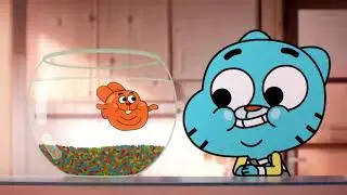 Darwin and Gumball are Fish Out of Water
