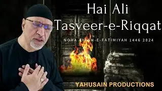 New Noha Ayyam-e-Fatimiyah 1446 2024 | Hai Ali Tasveer-e-Riqqat Fatima Khaamosh Hai