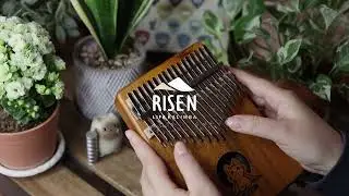 「 阿拉丁 A Whole New World 」30秒試聽 | RISEN 貓咪折手手 拇指琴 | 弦琴音樂 #shorts #kalimba