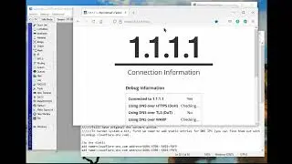 Router secure DNS configuration