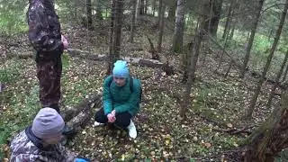 With a Russian hound, on a day off with the family in the forest.