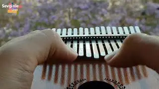 Ardından -  Serdar Keskin | Kalimba Cover