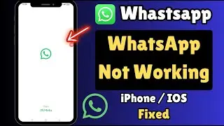 WhatsApp Not Opening or Crashing on iPhone? Here’s How to Fix It (2025)