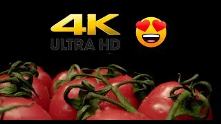 4K Macro Beauty of Cherry Tomatoes | Laowa 24mm Wide-Angle Lens | Relaxing Music
