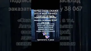 6 августа 2024 г.