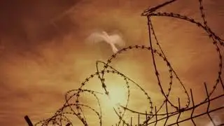 ★★★Голуби летят над нашей зоной★★★