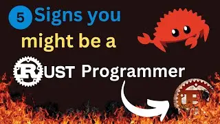 5 signs you might be a Rust programmer | Rustaceans 2024 | Should you learn Rust in 2024 ?