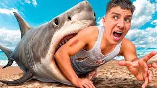 GLENT SURVIVES IN A POOL WITH A SHARK!