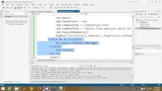 Visual Basic Net Tutorial with MySql database 12 DataGridView