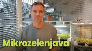 Vzgoja mikrozelenjave doma