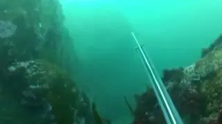 Pesca en Ortegal con Antonio P. Lagoa. Escape lubina.