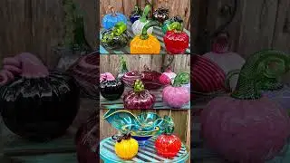 Gourd'geous Gourds | Come Harvest from our Patch