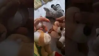А что ты умеешь?