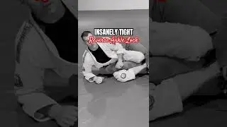 INSANE ANKLE LOCK 