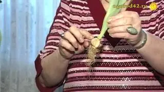 После выгонки тюльпанов