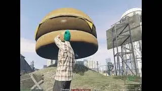 Flying burger
