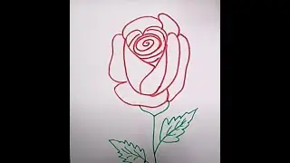 Simple Rose drawing