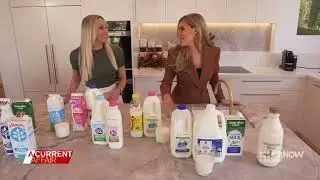 Which Milk Should I Drink?