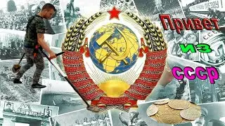 Лесной коп, Привет из прошлого