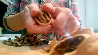 💪ASMR Sounds of Cracking Walnuts 🌰 Rustling, Crackling