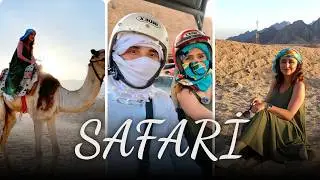 Safariyə getdik – Başımıza nələr gəldi?! Misir VLOQU