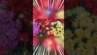Эти розы для тебя!#shorts