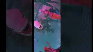 FLUTUANTE - FESTA NO FLUTU
