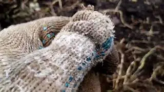 Осенний коп с неплохим результатом по нынешним временам. 