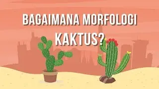 Kaktus Part 2 - Bagaimana morfologi kaktus? (#kaktus & #sekulen #sukulen)