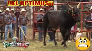 !!ES UN TOROTE QUE DA MIEDO EN CUANTO LO VES¡¡ ES EL OPTIMUS DE RANCHO LA REVOLUCION EN URICHO