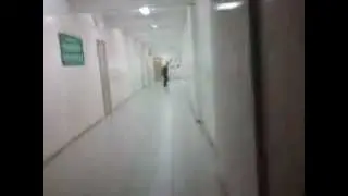 Погоня за падлой
