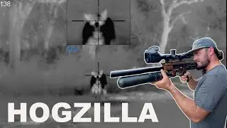 The Hunt For HOGZILLA With An AIRGUN