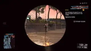 Collat headshot