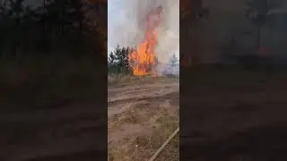 клип