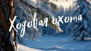 Ходовая охота