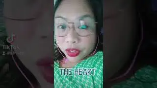 THE HEART