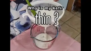 Kefir questions:  Why is my kefir thin?