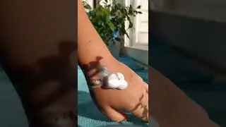 Пенка Sammy Beauty. Как выглядит пенка.