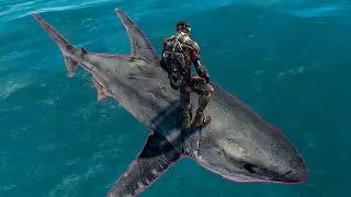 Surfing a Shark