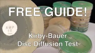 Disc Diffusion Guide