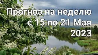 Прогноз для России ( СВО) на неделю с 15 по 21 Мая 2023г. Расклад - предсказание.