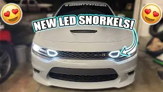 NEW LED SNORKELS ON MY 2020 SCAT PACK CHARGER! *MUST HAVE*