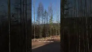 Путь до г.Киренск, Иркутская обл. 
