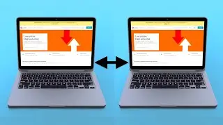 Can You Merge Two Udemy Accounts?
