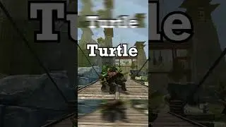 What is the Siege Turtle?