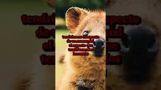 Si los humanos evolucionaramos