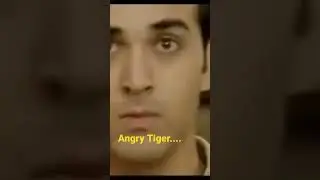 Angry Tiger ( Salman Khan)