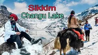 Sikkim | Changu lake | tsomgo lake | @GolporAddaNikhil